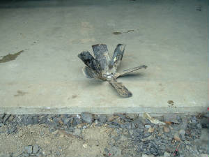 20040627image0022.jpg